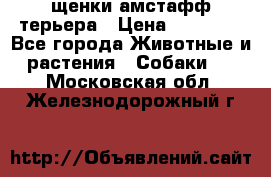 щенки амстафф терьера › Цена ­ 30 000 - Все города Животные и растения » Собаки   . Московская обл.,Железнодорожный г.